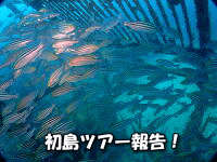 t@_Cu