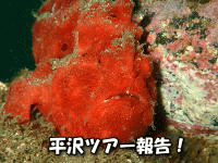 t@_Cu
