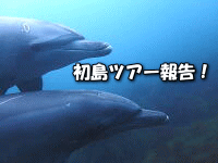 t@_Cu