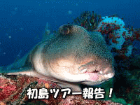 CJA_CrOǍ_CrOA,MC_CrO