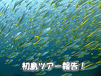 CJA_CrOǍ_CrOA,MC_CrO